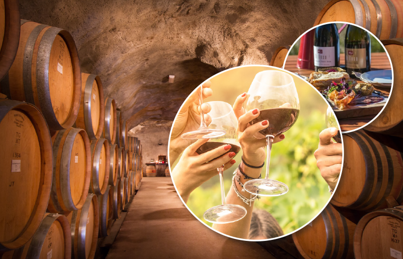 Wine cellar & vineyard lunch