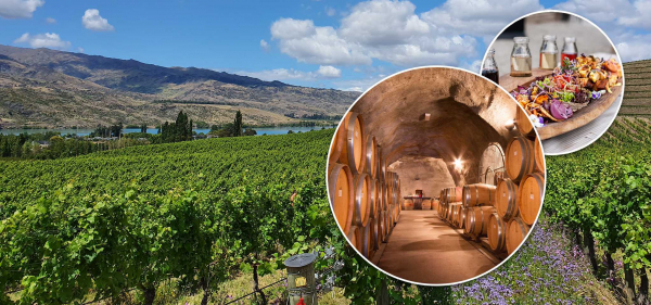 Central Otago and Valley of the Vines Wine Tour Wine cellar & vineyard lunch