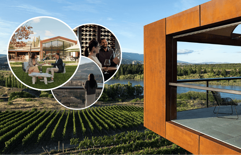 Vineyard overlooking mountains and the lake