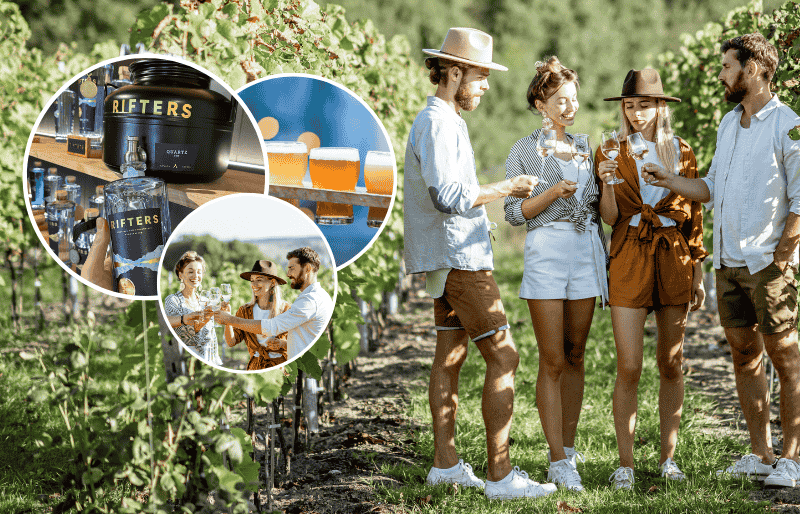 Vineyard with mountains in the background and people tasting win