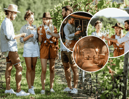 3 Best Queenstown Wine Tours for Couples, Friends, and Celebrations