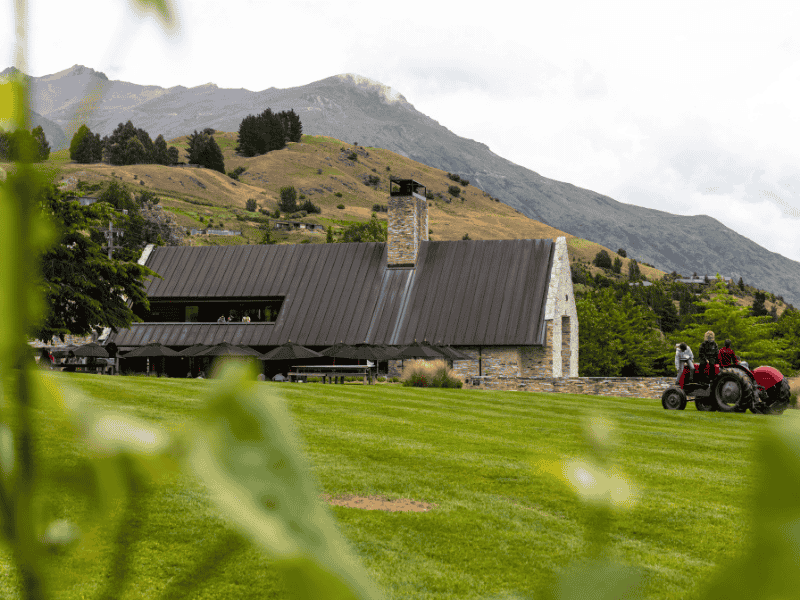 Amisfield Cellar Door with views of Lake Hayes and modern schist architecture
