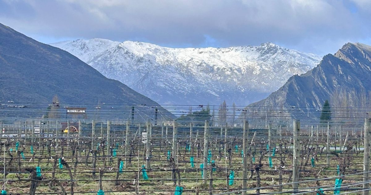 Winter in Gibbston Valley