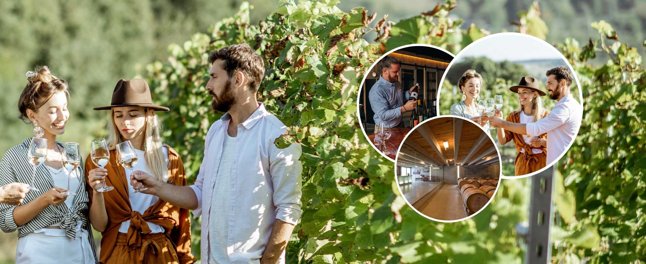 Guests enjoying a boutique afternoon wine tour through the Gibbston Valley wine region near Queenstown, New Zealand.