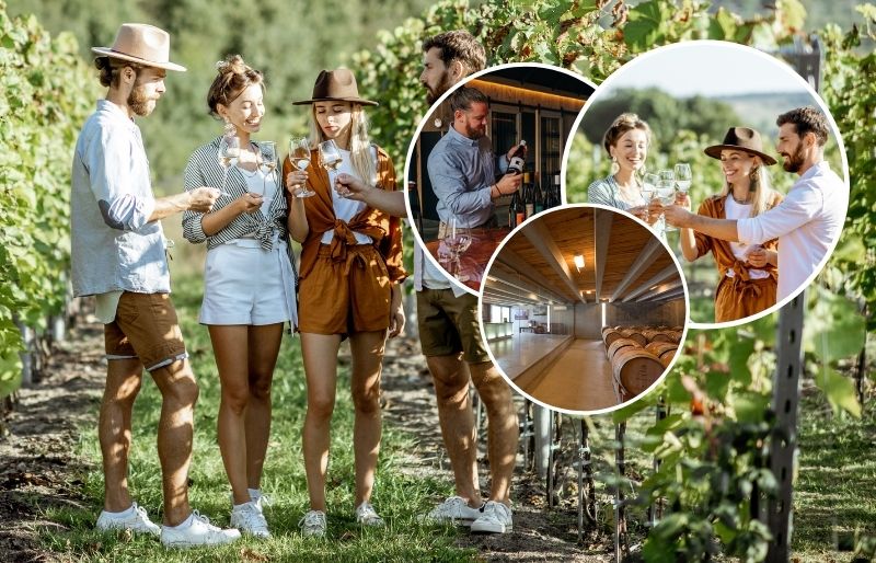 Collage of Queenstown dinner tour meals and their locations