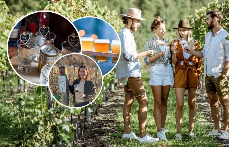 Vineyard with mountains in the background and people tasting win